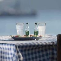 /customerDocs/images/avatars/67130/67130-ΕΣΤΙΑΤΟΡΙΟ-ΕΛΛΗΝΙΚΗ ΚΟΥΖΙΝΑ-APANEMA-ΑΧΕΡΟΥΝΕΣ-ACHEROUNES-LOGO.jpg